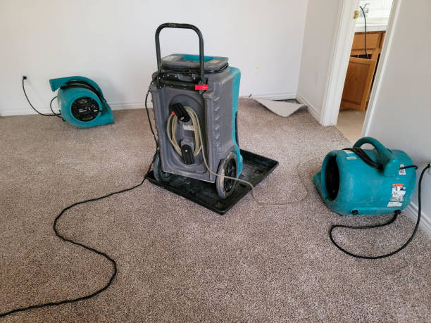 Best Water damage restoration insurance claims  in Spanish Springs, NV