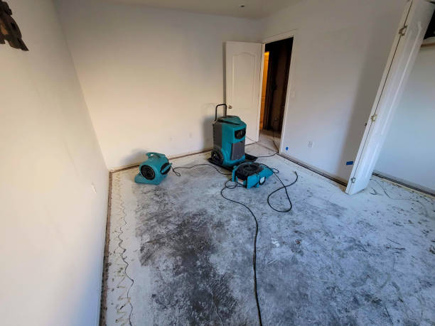Best Mold removal after water damage  in Spanish Springs, NV