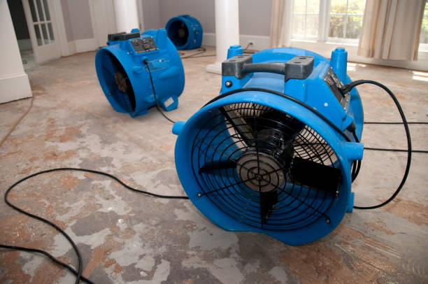 Best Flood damage cleanup  in Spanish Springs, NV
