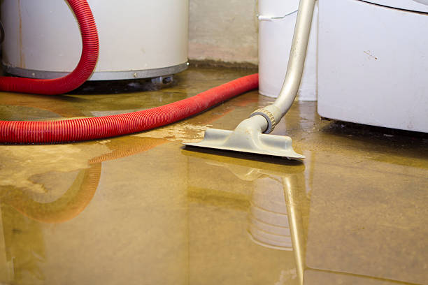 Best Sewage cleanup and water damage restoration  in Spanish Springs, NV