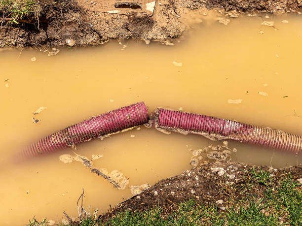 Best Water damage restoration near me  in Spanish Springs, NV